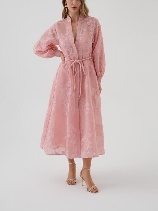 Embroidered Organza Midi Dress
