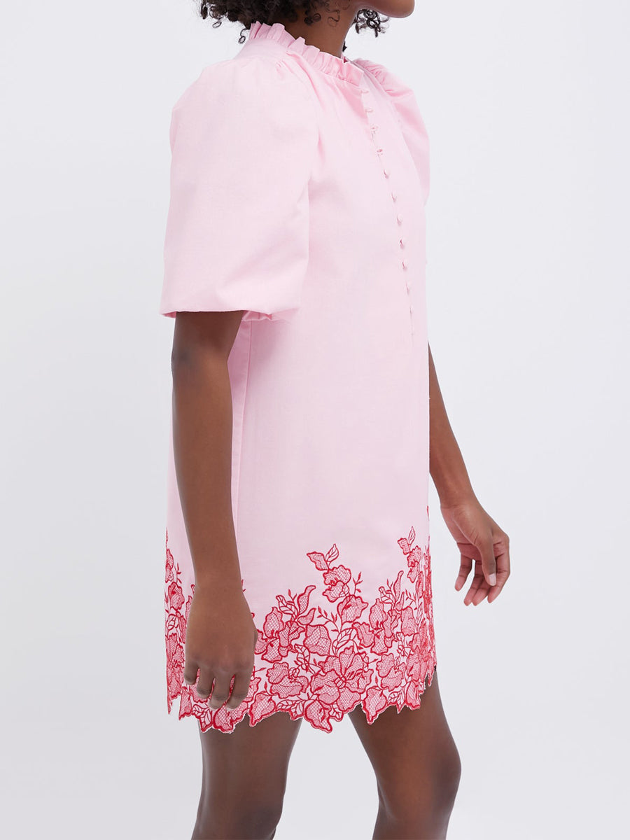 Ruffle Collar Embroidered Mini Dress