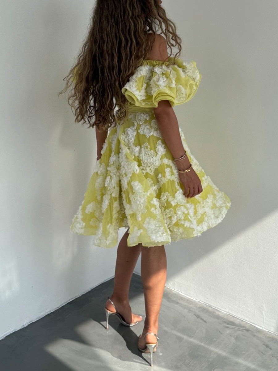 Off Shoulder Flouced Tutu Dress